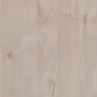 Angora Oak